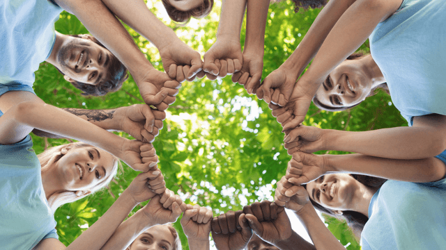 Team building aventure forêt